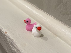 IMG_3655